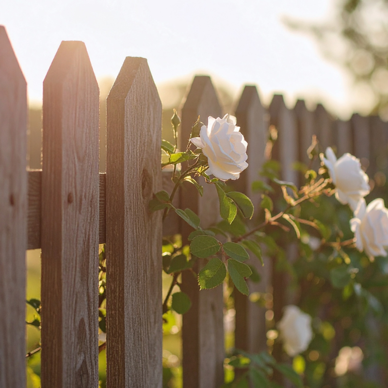 Kingsland Fencing Pretty